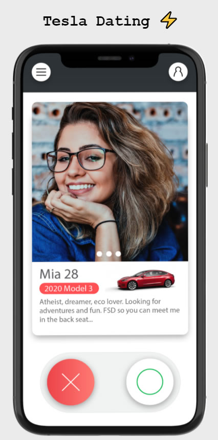 Interface de l'application Tesla Dating